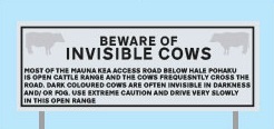 beware of invisible cows, Hawaii
