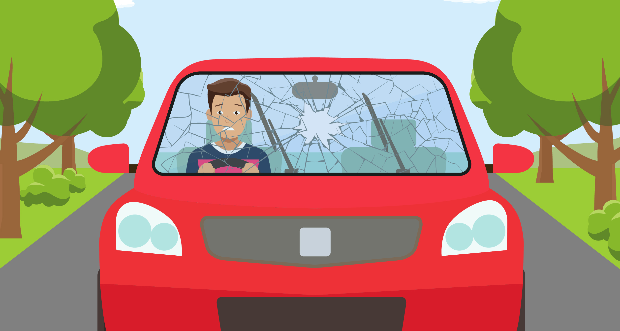 Person Driving With Shattered Windscreen