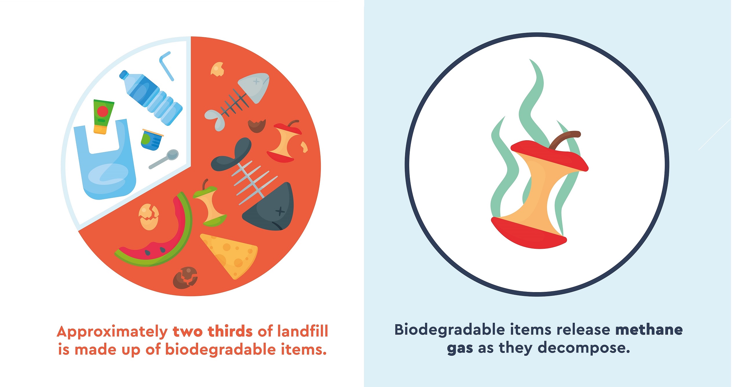 biodegradable items